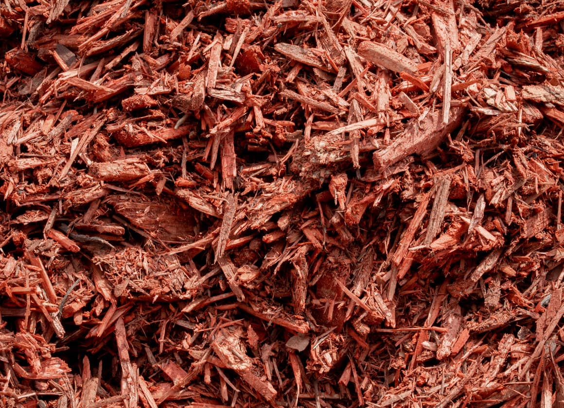 Cardinal red colored mulch for vibrant landscape beds