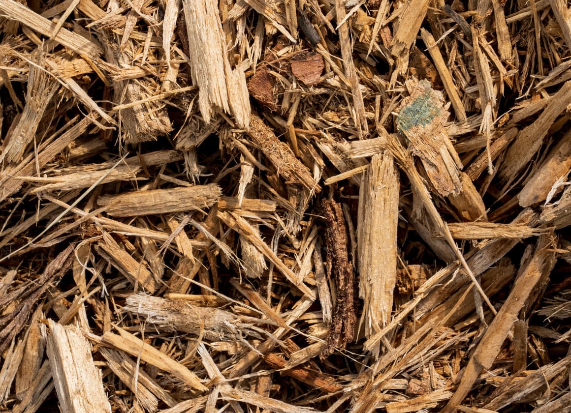 Undyed natural playground mulch safe for children and play areas